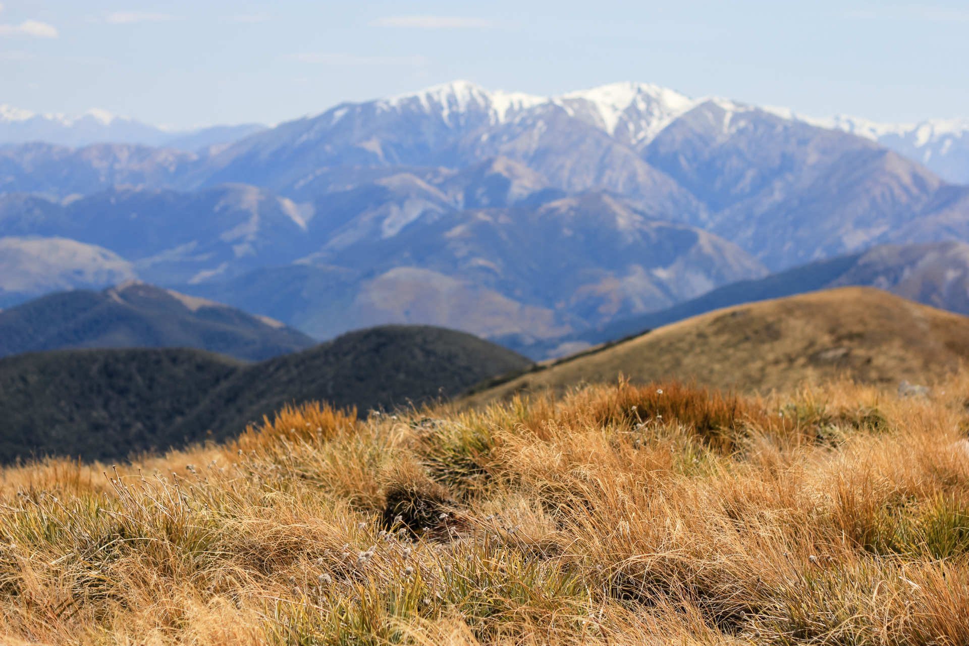 mountain-banner-2